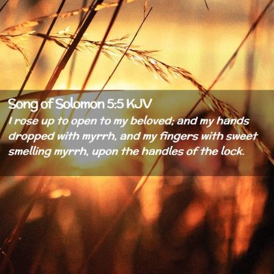 Song of Solomon 5:5 KJV Free Bible Images