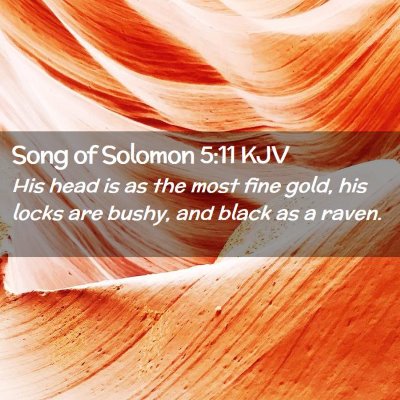 Song of Solomon 5:11 KJV Free Bible Images