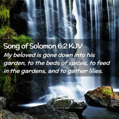 Song of Solomon 6:2 KJV Free Bible Images