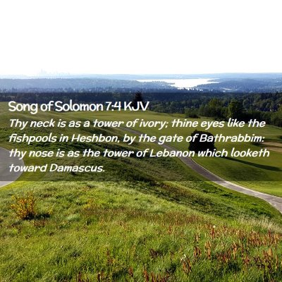 Song of Solomon 7:4 KJV Free Bible Images