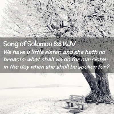 Song of Solomon 8:8 KJV Free Bible Images