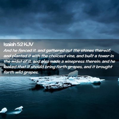 Isaiah 5:2 KJV Free Bible Images