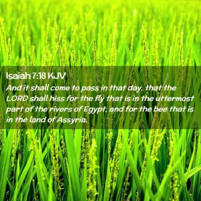 Isaiah 7:18 KJV Free Bible Images