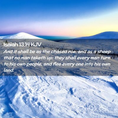 Isaiah 13:14 KJV Free Bible Images