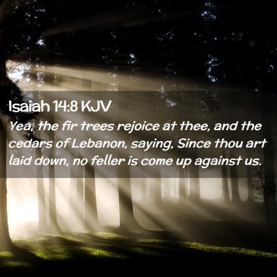 Isaiah 14:8 KJV Free Bible Images