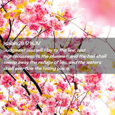 Isaiah 28:17 KJV Free Bible Images