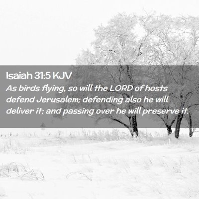 Isaiah 31:5 KJV Free Bible Images