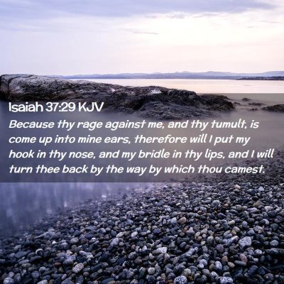 Isaiah 37:29 KJV Free Bible Images