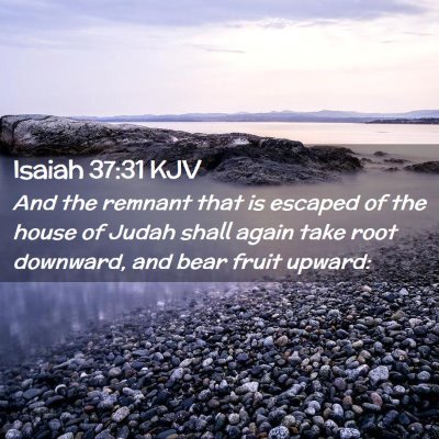 Isaiah 37:31 KJV Free Bible Images