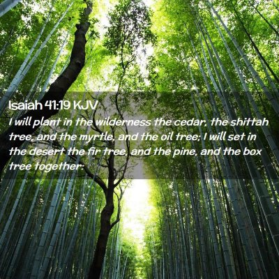 Isaiah 41:19 KJV Free Bible Images