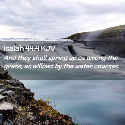 Isaiah 44:4 KJV Free Bible Images