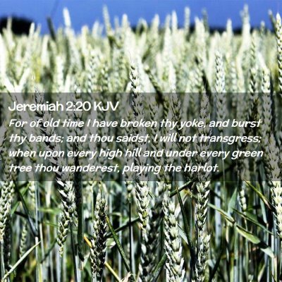 Jeremiah 2:20 KJV Free Bible Images