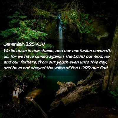 Jeremiah 3:25 KJV Free Bible Images