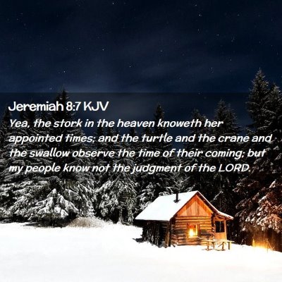 Jeremiah 8:7 KJV Free Bible Images