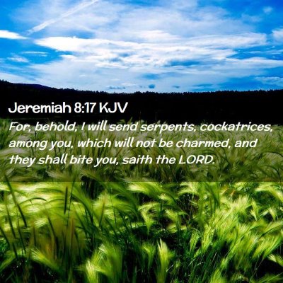 Jeremiah 8:17 KJV Free Bible Images