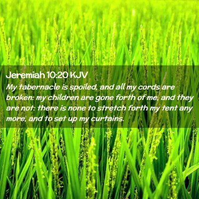 Jeremiah 10:20 KJV Free Bible Images