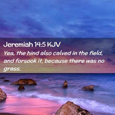 Jeremiah 14:5 KJV Free Bible Images