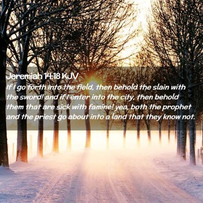 Jeremiah 14:18 KJV Free Bible Images