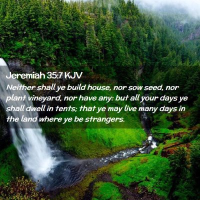 Jeremiah 35:7 KJV Free Bible Images