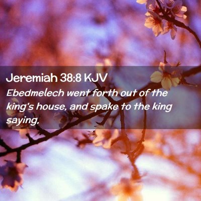 Jeremiah 38:8 KJV Free Bible Images