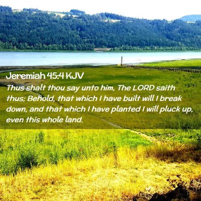 Jeremiah 45:4 KJV Free Bible Images