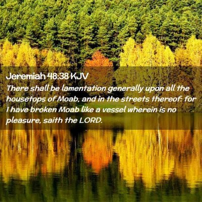 Jeremiah 48:38 KJV Free Bible Images