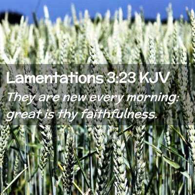 Lamentations 3:23 KJV Free Bible Images