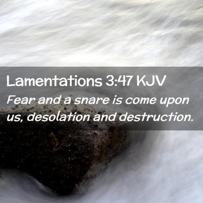 Lamentations 3:47 KJV Free Bible Images