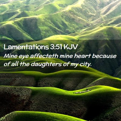 Lamentations 3:51 KJV Free Bible Images