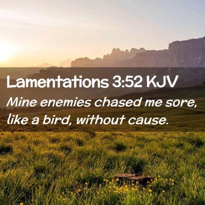 Lamentations 3:52 KJV Free Bible Images