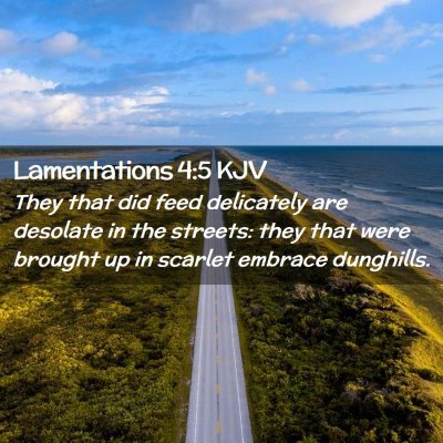 Lamentations 4:5 KJV Free Bible Images