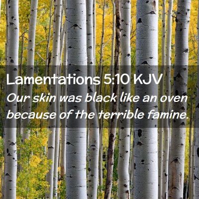 Lamentations 5:10 KJV Free Bible Images