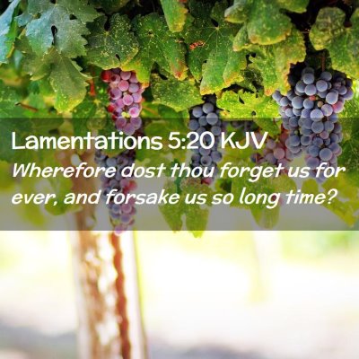 Lamentations 5:20 KJV Free Bible Images