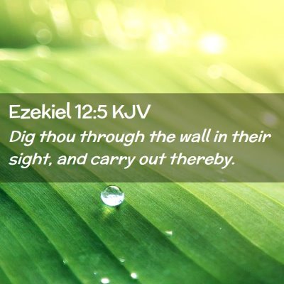 Ezekiel 12:5 KJV Free Bible Images