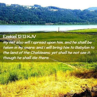 Ezekiel 12:13 KJV Free Bible Images