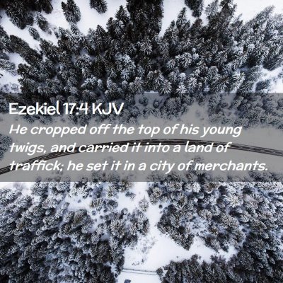 Ezekiel 17:4 KJV Free Bible Images