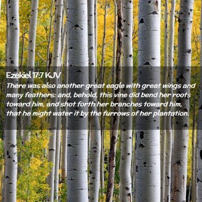 Ezekiel 17:7 KJV Free Bible Images