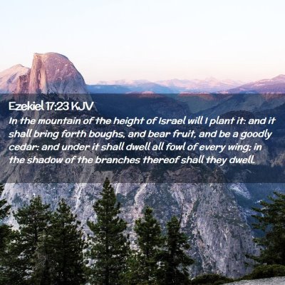 Ezekiel 17:23 KJV Free Bible Images