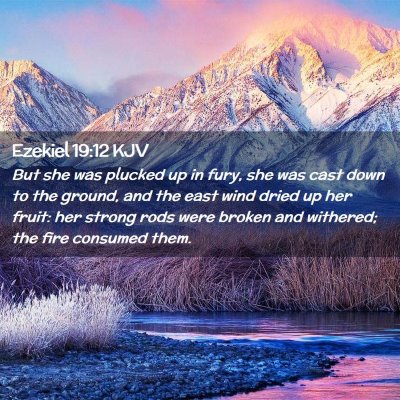 Ezekiel 19:12 KJV Free Bible Images