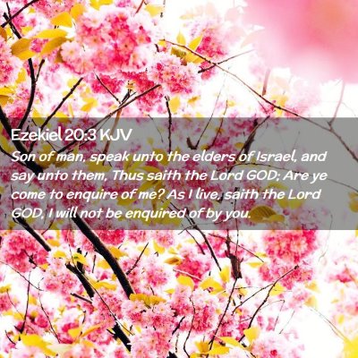 Ezekiel 20:3 KJV Free Bible Images