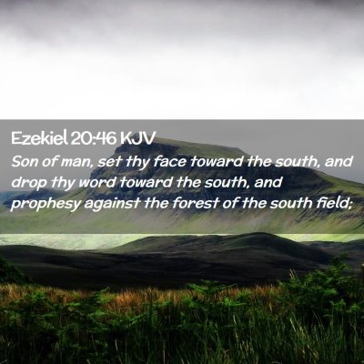 Ezekiel 20:46 KJV Free Bible Images