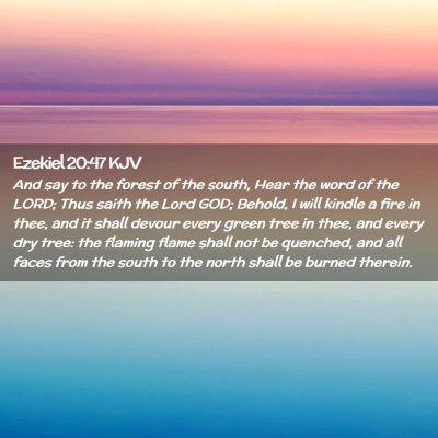 Ezekiel 20:47 KJV Free Bible Images