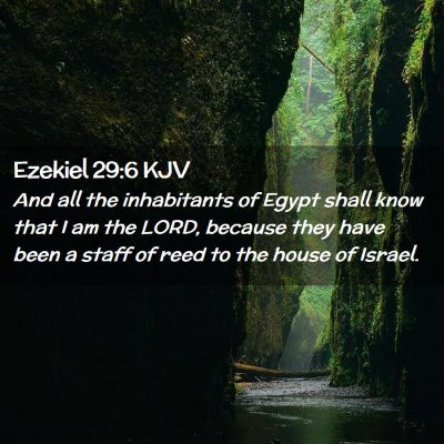 Ezekiel 29:6 KJV Free Bible Images