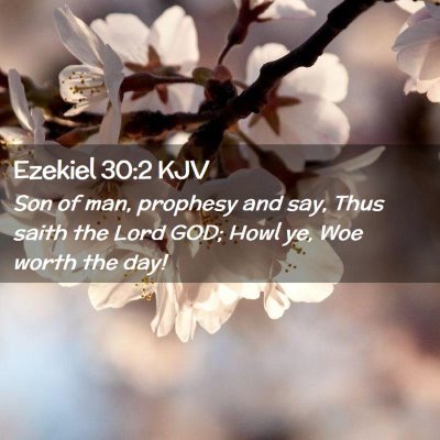 Ezekiel 30:2 KJV Free Bible Images