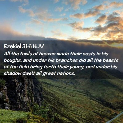 Ezekiel 31:6 KJV Free Bible Images