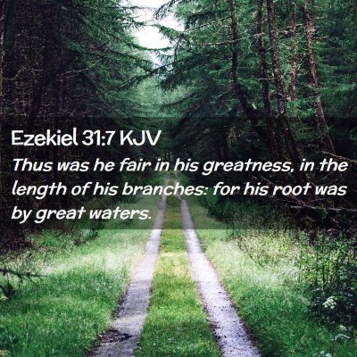 Ezekiel 31:7 KJV Free Bible Images