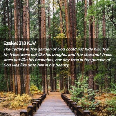 Ezekiel 31:8 KJV Free Bible Images