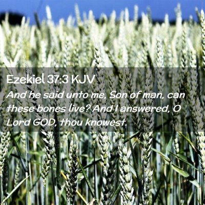 Ezekiel 37:3 KJV Free Bible Images