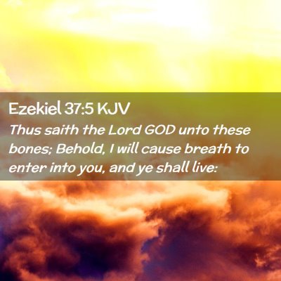 Ezekiel 37:5 KJV Free Bible Images