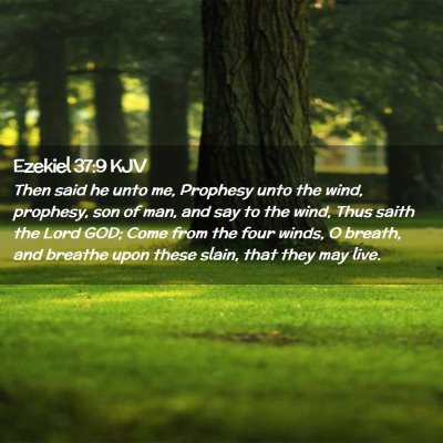 Ezekiel 37:9 KJV Free Bible Images